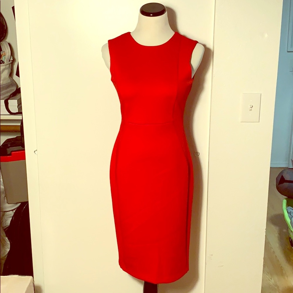 Calvin Klein stunning red dress!